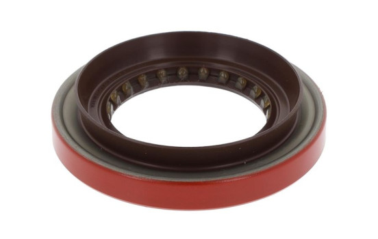 Shaft Seal, differential