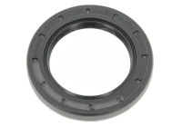 Shaft Seal, differential