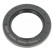 Shaft Seal, differential