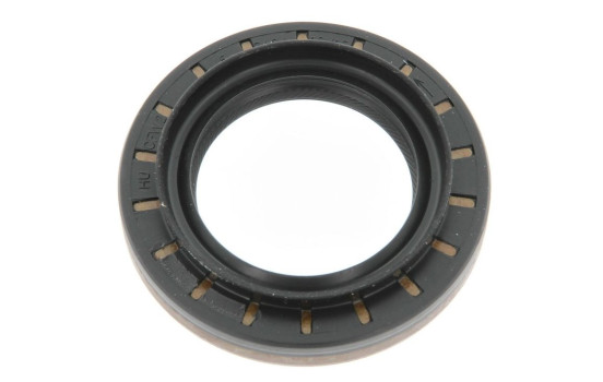 Shaft Seal, differential