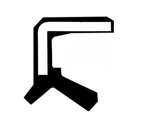 Shaft Seal, differential