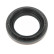 Shaft Seal, differential