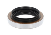 Shaft Seal, differential