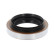 Shaft Seal, differential