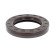 Shaft Seal, differential