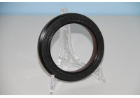 Shaft Seal, differential