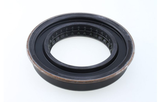 Shaft Seal, differential
