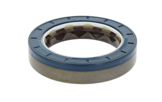 Shaft Seal, differential