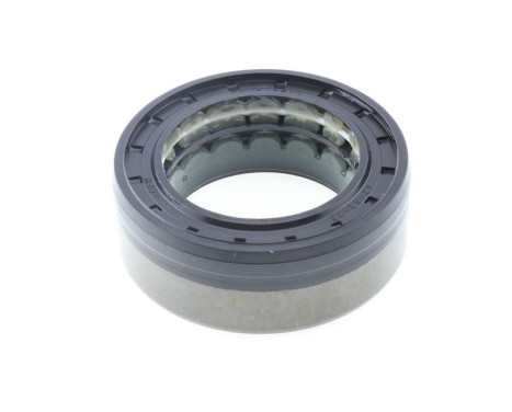 Shaft Seal, differential