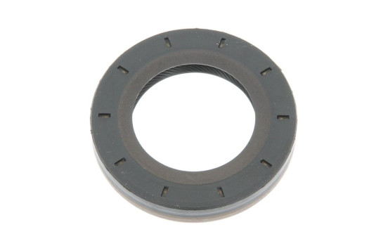 Shaft Seal, differential