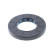 Shaft Seal, differential