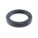 Shaft Seal, differential