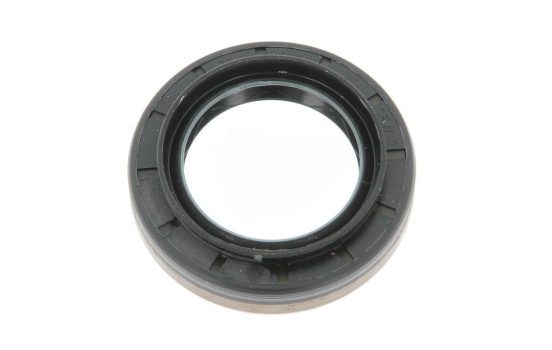 Shaft Seal, differential