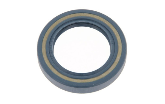 Shaft Seal, differential