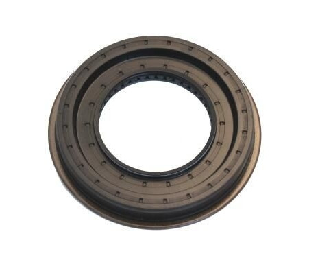 Shaft Seal, differential