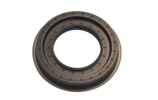 Shaft Seal, differential