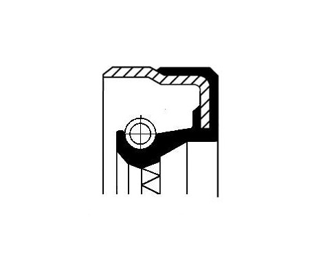 Shaft Seal, differential