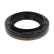 Shaft Seal, differential