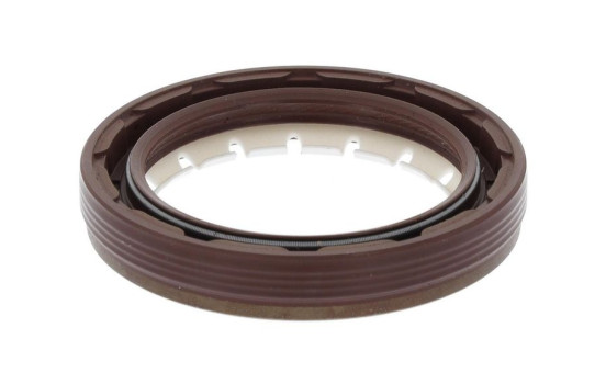Shaft Seal, differential