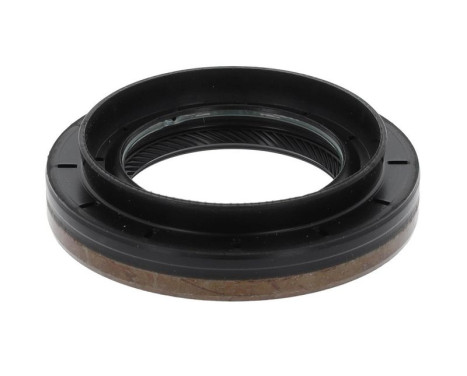 Shaft Seal, differential