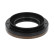 Shaft Seal, differential