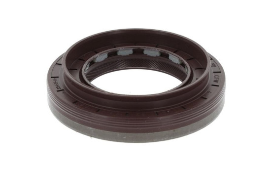 Shaft Seal, differential