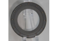 Shaft Seal, differential