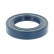 Shaft Seal, differential, Thumbnail 2