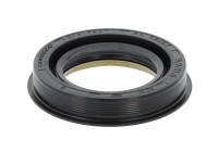 Shaft Seal, differential