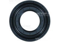 Shaft Seal, differential