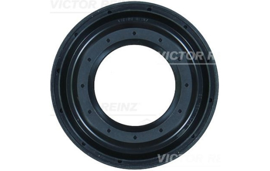 Shaft Seal, differential