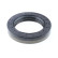 Shaft Seal, differential, Thumbnail 2