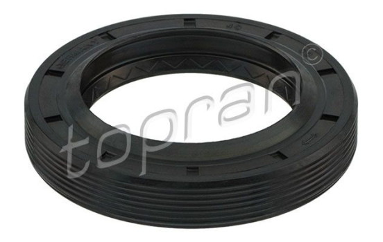 Shaft Seal, differential