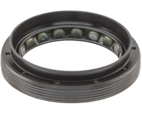 Shaft Seal, differential