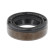 Seal Ring, gearshift linkage