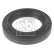 Shaft Seal, automatic transmission flange 12107 FEBI, Thumbnail 2