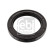 Shaft Seal, wheel bearing 06174 FEBI, Thumbnail 2