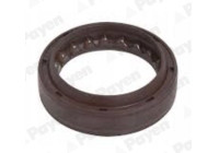 Oil seal, gear NJ962 Payen