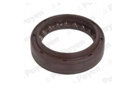 Oil seal, gear NJ962 Payen