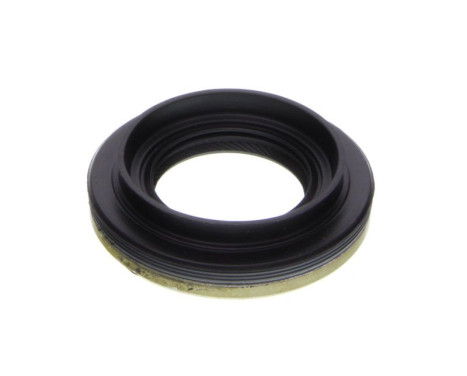 Oil seal, gear