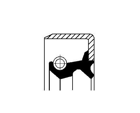 Oil seal, gear