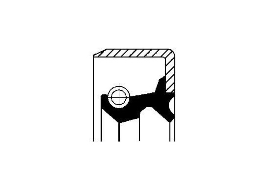 Oil seal, gear