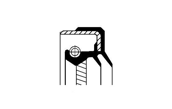 Oil seal, transfer differential
