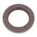 seal, gear