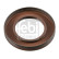 Shaft Seal, manual transmission 49338 FEBI, Thumbnail 3