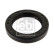Shaft Seal, manual transmission main shaft 39431 FEBI, Thumbnail 2