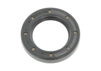 Shaft Seal, manual transmission