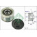 Alternator Freewheel Clutch 535010110 Ina