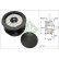Alternator Freewheel Clutch 535018810 Ina
