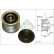 Alternator Freewheel Clutch 535020410 Ina